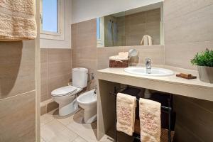 巴塞罗那哈比泰特布鲁克露台公寓的一间带卫生间和水槽的浴室