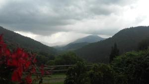 普拉诺拉斯Cal Sadurní的享有山谷的背景山景。