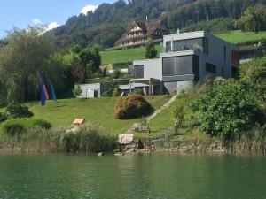 萨尔嫩Luxury loft on top of Villa Wilen with tremendous views by the lake的水体旁山丘上的房屋