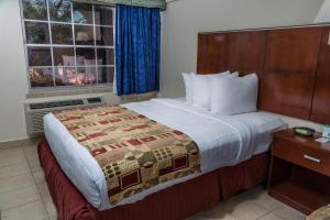 基西米弗拉明戈快捷酒店的酒店客房设有床和窗户。