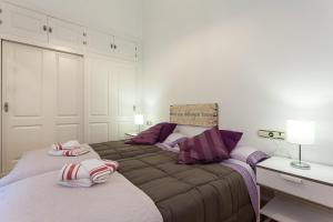 加的斯Casa ALEGRIA by Cadiz4Rentals的一间卧室配有一张大床和两个枕头