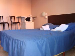 马德普拉塔Vista al Mar Punta Mogotes的一张蓝色的大床,上面有蓝色的毯子