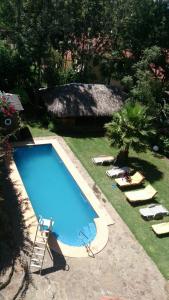 奈瓦沙Villa -Guesthousejane & Apartments的一个带躺椅的庭院内的游泳池
