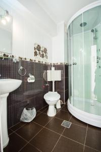 布什泰尼古拉迪汉姆宾馆的浴室配有卫生间、淋浴和盥洗盆。