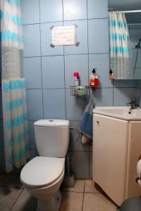 MilašaičiaiZemaite truoba的一间带卫生间和水槽的浴室