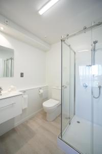 下哈特奎斯特毕通公寓式酒店的一间带卫生间和玻璃淋浴间的浴室