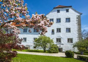 瓦瑟堡瓦瑟堡城堡酒​​店的一座白色的建筑,前面有一棵玉兰树