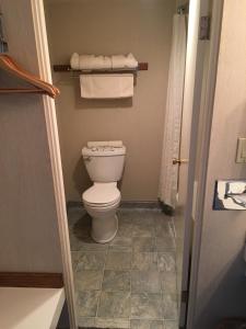 布雷默顿Flagship Inn的浴室配有卫生间和毛巾。