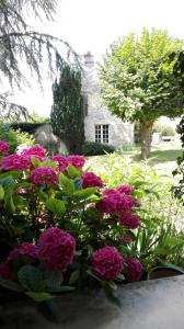 ApremontRelais De La Haute Pommeraye的房子前面的一束粉红色的花
