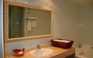 塞哥维亚波萨达牧场酒店的一间带水槽和镜子的浴室