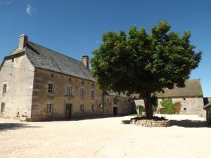 绍德艾格La maison de Gilbert的一座大型石头建筑,前面有一棵树