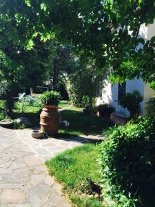 罗通达Al Vecchio Camino的花园中种植了植物的大锅
