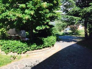 Al Vecchio Camino外面的花园