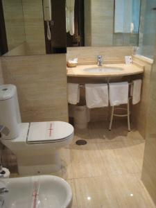 布尔戈斯科登酒店的一间带卫生间和水槽的浴室