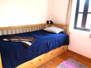 大特尔诺沃The Red Konak的一间卧室配有一张带蓝色床单的床和一扇窗户。
