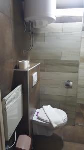科帕奥尼克Apartment Andrijana的一间带卫生间和水槽的浴室