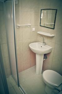 阿拉尼亚克列奥帕特拉海滩伊尔迪兹酒店 的浴室配有卫生间、盥洗盆和淋浴。