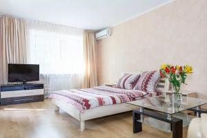 扎波罗热Apartment in Zaporozhye. Antica的带沙发、电视和桌子的客厅
