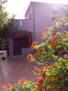 维耶斯泰Appartamenti Santa Margherita的一座带红色鲜花庭院的房子