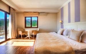 卡斯托里亚繁星美景酒店的一间卧室配有一张大床和一张桌椅