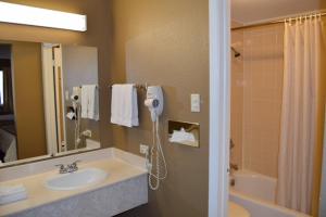 拉雷多拉雷多美洲最超值旅馆的一间带水槽、淋浴和镜子的浴室