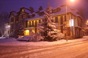 卡缅纳古拉Hotel Karkonosze的前面有一棵雪覆盖的树的房子