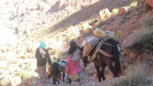 Aït BahaKasbah Maison D’hôte Lalla Zahra的一群人带着骆驼走上山