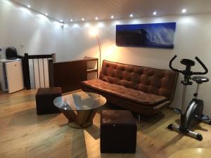 Couvet科维市中心舒适一室公寓的客厅配有棕色沙发和桌子
