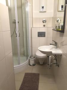 杜塞尔多夫杜塞城市公寓的带淋浴、卫生间和盥洗盆的浴室
