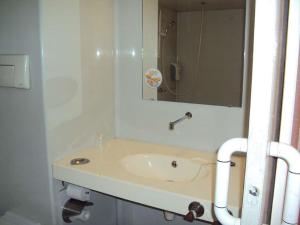 维拉尔普瑞米尔圣艾迪安诺德维拉经典酒店的一间带水槽和镜子的浴室