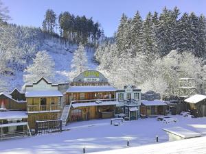 Zvole斯克兰德酒店的雪中一座大建筑,有雪覆盖的树木