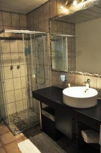 奥卡汉贾Outeniqua Guest & Hunting Farm的一间带水槽和玻璃淋浴的浴室