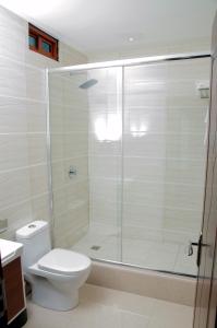 PiarcoGrand Diamond Hotel Trinidad的一间带卫生间和玻璃淋浴间的浴室