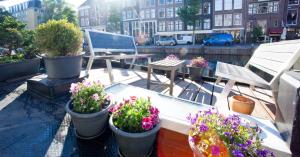 阿姆斯特丹Prince Royal B&B的阳台,种植了许多盆栽植物,设有长凳