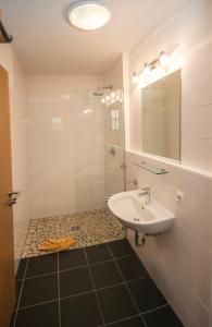 上陶恩拉克瑟霍夫公寓式酒店的一间带水槽和镜子的浴室