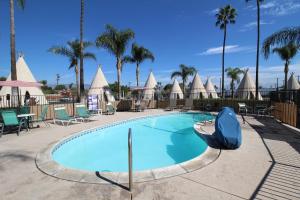 圣贝纳迪诺维格瓦姆汽车旅馆的一个带椅子和棕榈树的大型游泳池