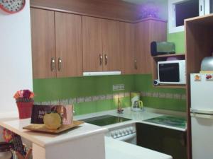 利乌玛Apartamento Gerard的厨房设有绿色的墙壁和木制橱柜。