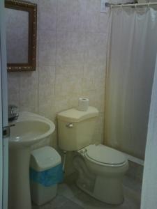 阿瓜达哥伦布酒店的一间带卫生间和水槽的浴室
