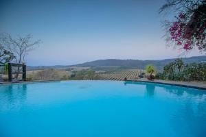 雾观阿邦甘旅舍的一座大型蓝色游泳池,后方是一座葡萄园