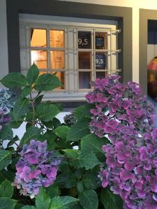 赫兴施万德斯特里博格7号乡间别墅酒店的一座房子前面的紫色花丛