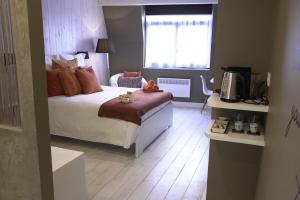 布鲁塞尔游走布鲁塞尔住宿加早餐旅馆的一间卧室设有一张床、一个窗口和一台电视