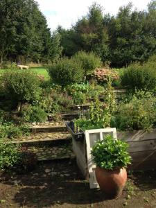霍森斯Country B&B Horsens的种有一盆植物和楼梯的花园