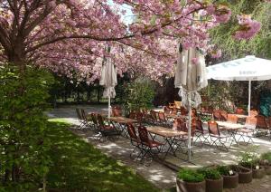 莱比锡莱比锡伽勒瑞尔酒店的一个带桌椅的庭院,树下种有粉红色的花朵