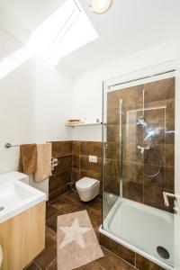 罗斯多夫Ferienwohnung Schantz的带淋浴、卫生间和盥洗盆的浴室