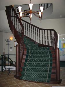 博尔滕哈根Gutshaus Redewisch Hotel & Restaurant的一条铺有绿色地毯的楼梯