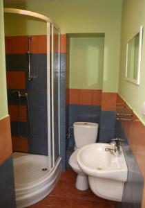 齐莱涅克Straszny Dwór的带淋浴、卫生间和盥洗盆的浴室