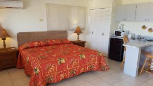 棕榈滩阿鲁巴岛海滩别墅酒店的一间卧室配有一张床,厨房配有微波炉