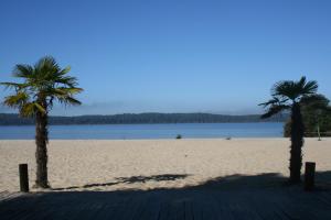 加斯泰Rêve en Famille的两棵棕榈树,位于沙滩上,靠近水面