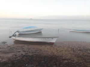 Rodrigues Island庞达努斯旅馆 的两艘船坐在水体的岸边