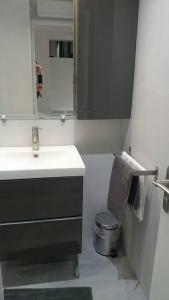 巴黎玛黑区之珠公寓的一间带水槽、卫生间和镜子的浴室